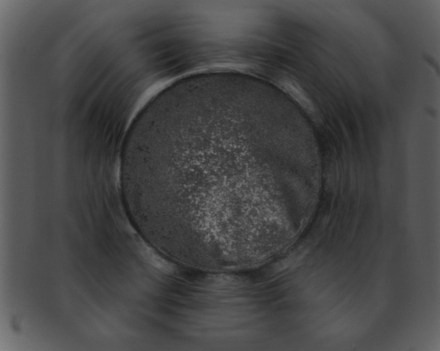 X0000093131420200710171258