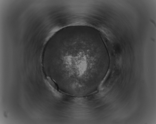 X0000093131422200710171258