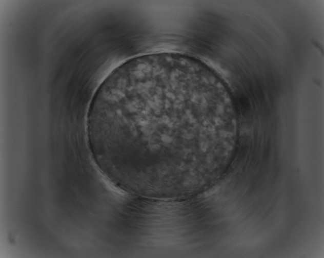 X0000093131423200710171258