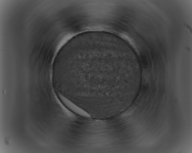 X0000093131424200710171258