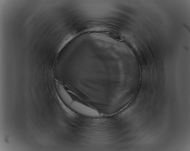 X0000093131425200710171258