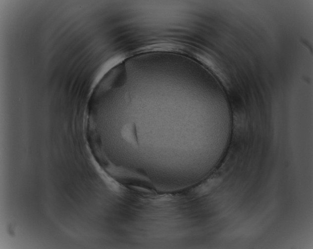 X0000093131426200710171258