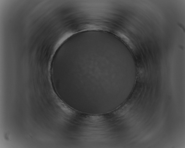 X0000093131427200710171258