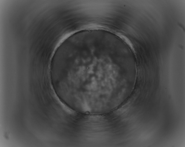 X0000093131429200710171258