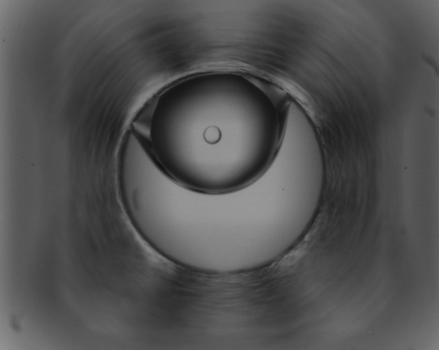 X0000093131430200710171258