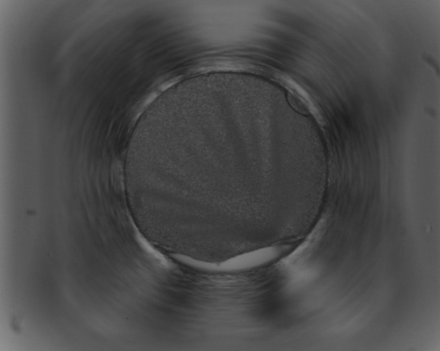 X0000093131433200710171258