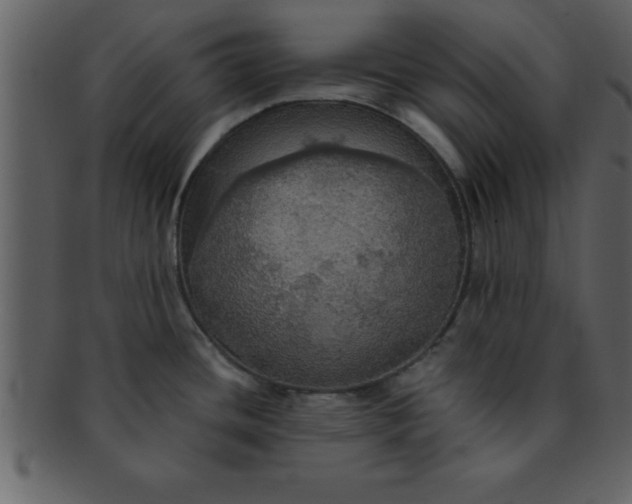 X0000093131436200710171258