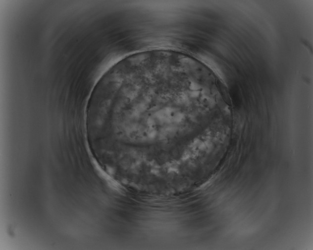 X0000093131439200710171258