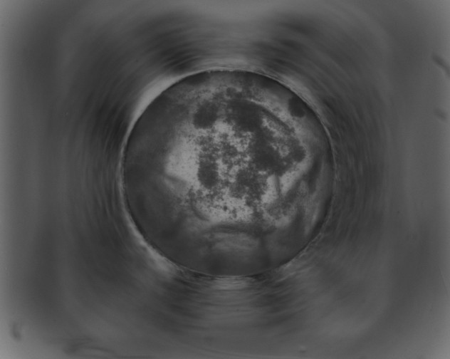 X0000093131440200710171258