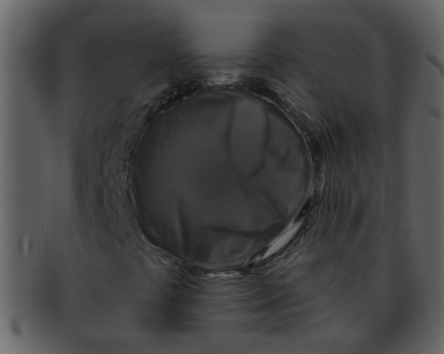 X0000093131441200710171257