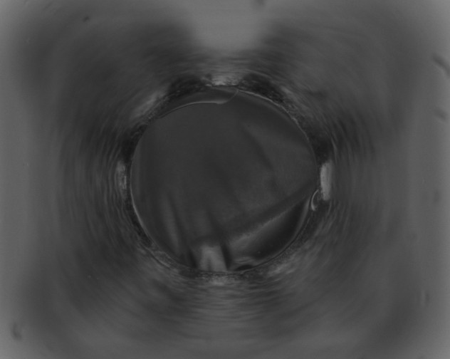 X0000093131443200710171257