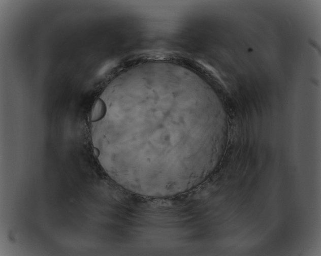 X0000093131446200710171257