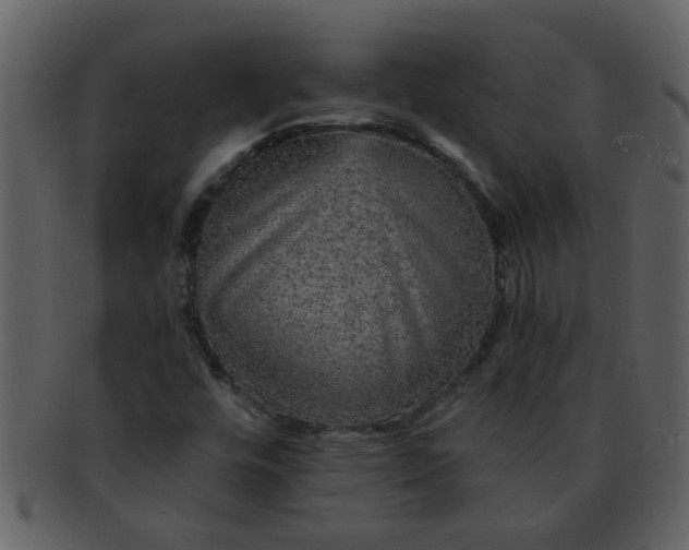 X0000093131448200710171257