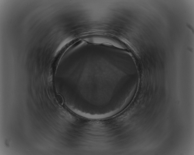 X0000093131450200710171257