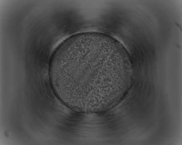 X0000093131452200710171257