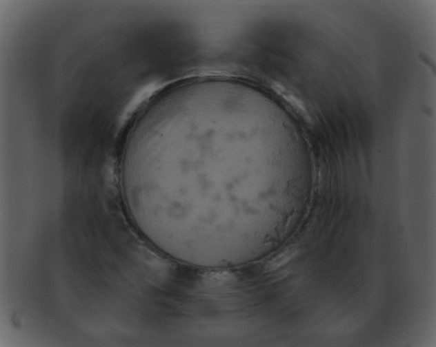 X0000093131454200710171257