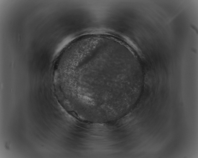 X0000093131456200710171257