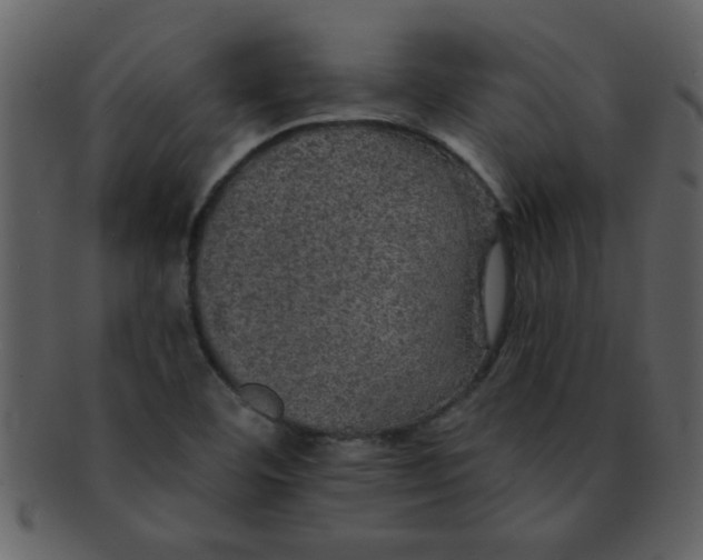 X0000093131460200710171257