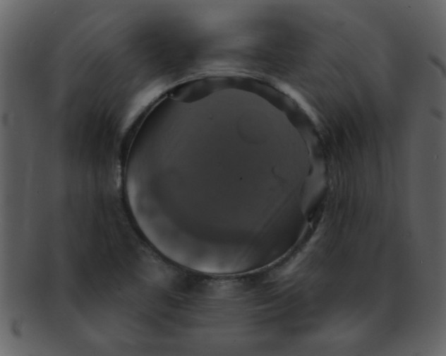 X0000093131461200710171257