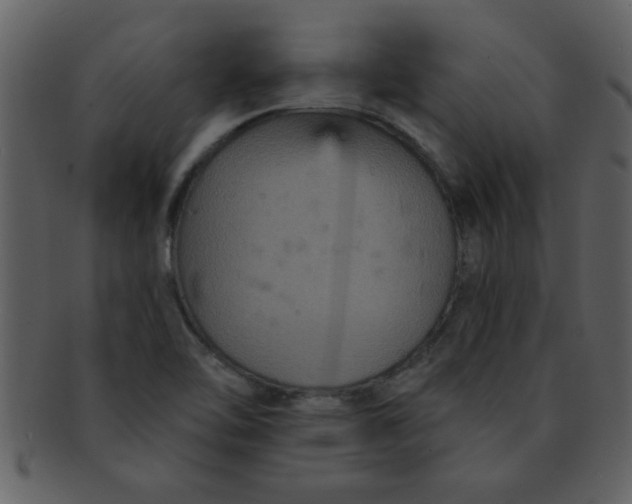 X0000093131462200710171257