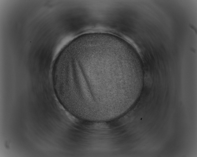 X0000093131464200710171257