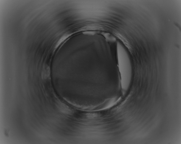 X0000093131465200710171257