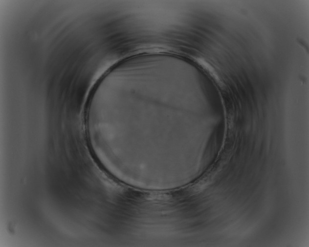 X0000093131466200710171257