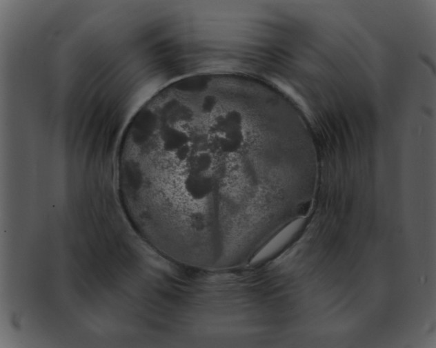 X0000093131467200710171257