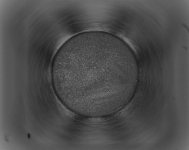 X0000093131468200710171257