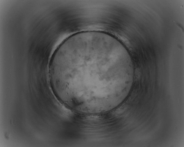 X0000093131470200710171257