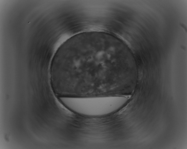 X0000093131471200710171257