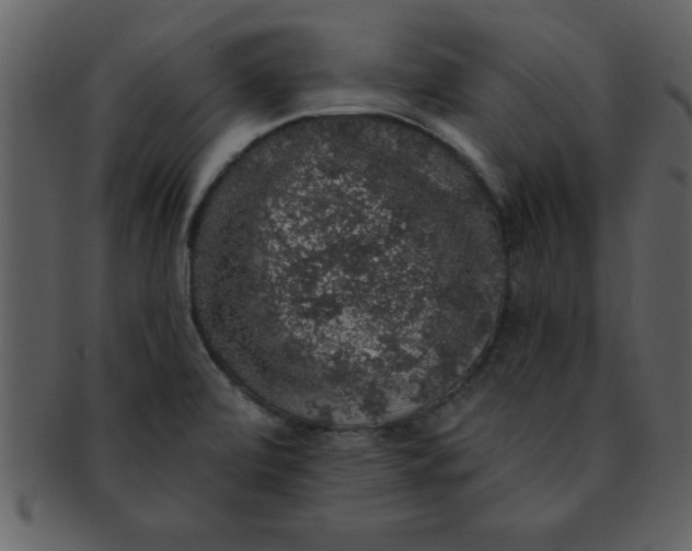 X0000093131472200710171257