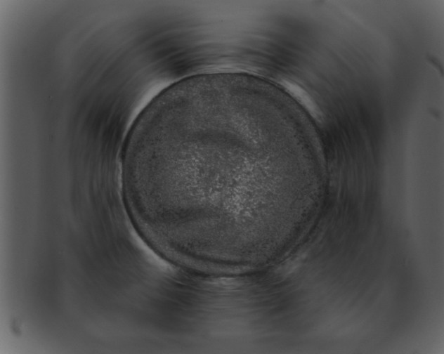 X0000093131476200710171257