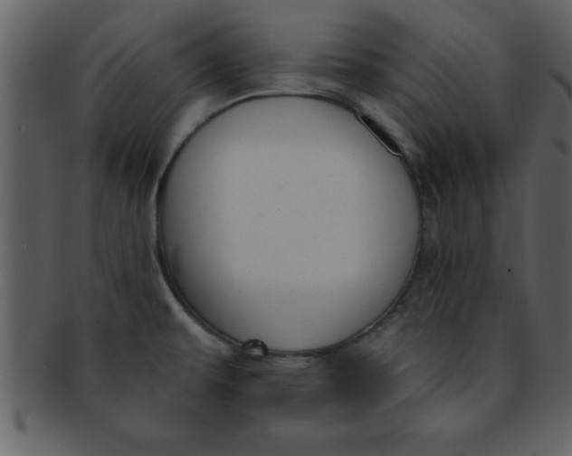 X0000093131479200710171256