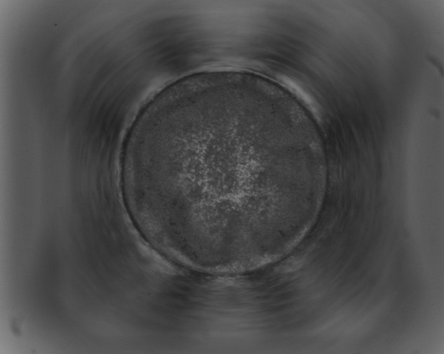 X0000093131480200710171256