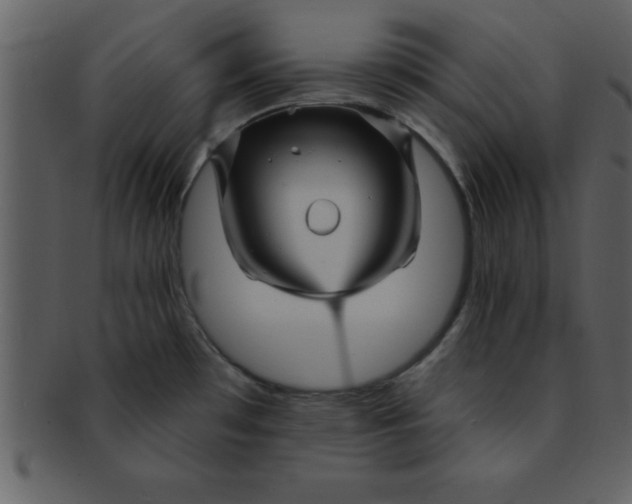 X0000093131481200710171256