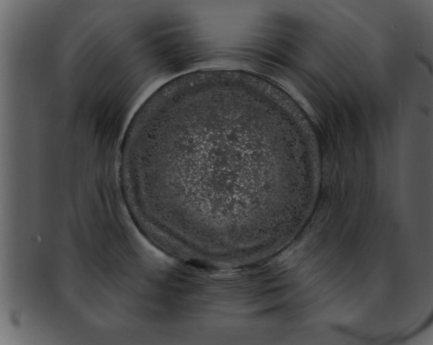 X0000093131484200710171256