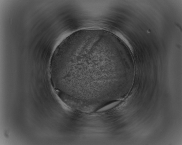 X0000093131485200710171256