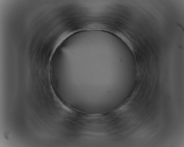 X0000093131486200710171256