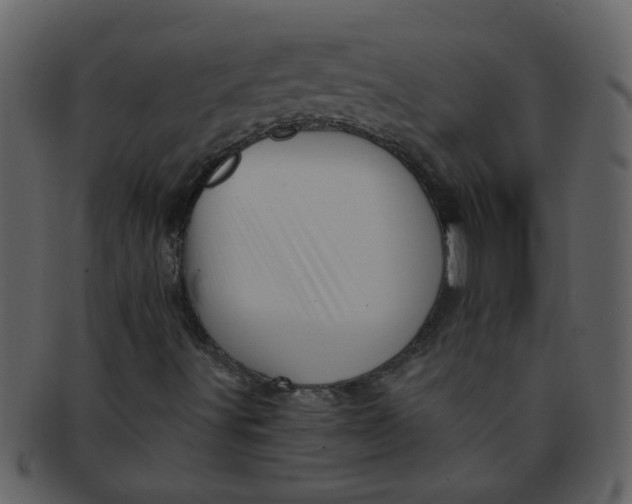 X0000093131491200710171256