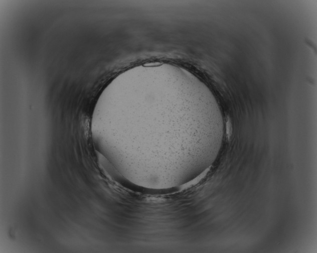 X0000093131492200710171256