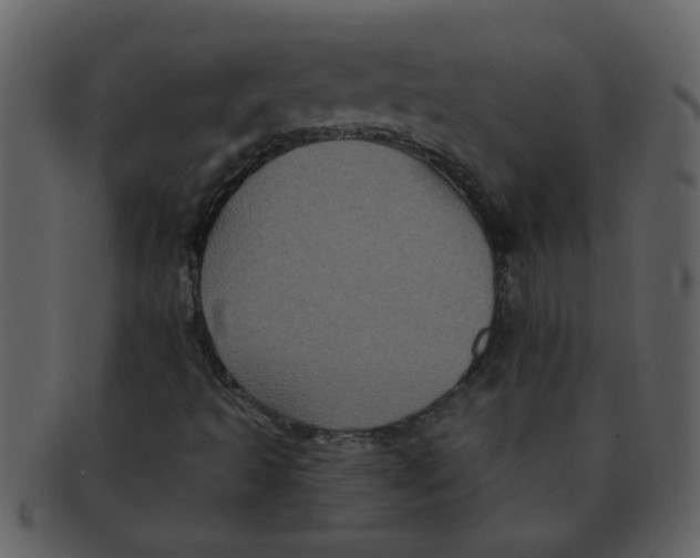 X0000093131493200710171256