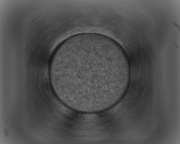 X0000093131498200710171256