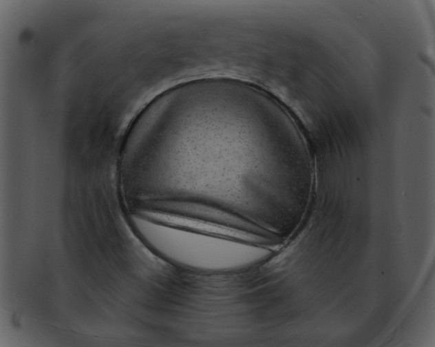 X0000093131500200710171256