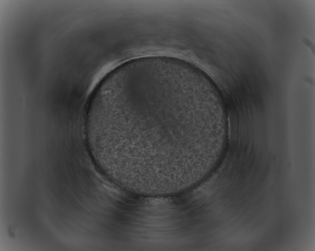 X0000093131501200710171256