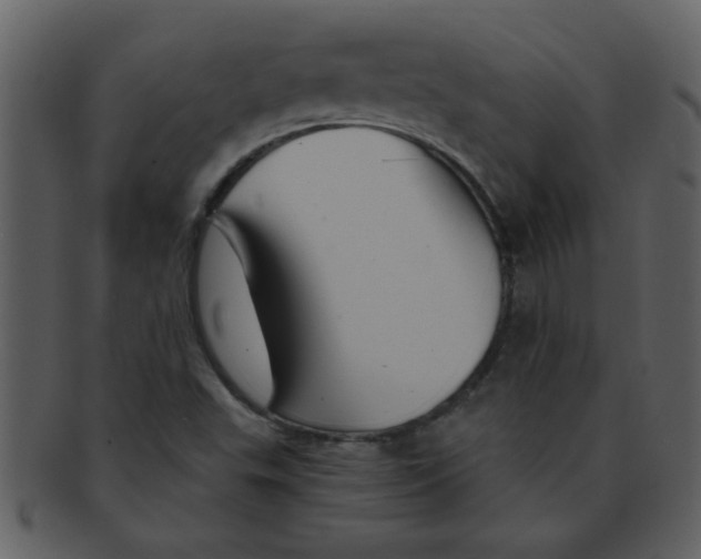 X0000093131503200710171256