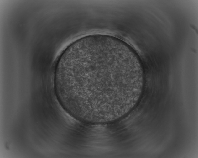 X0000093131504200710171256