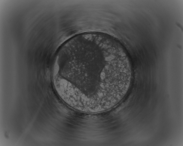 X0000093131505200710171256