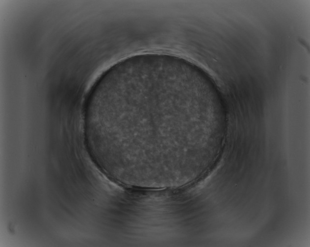 X0000093131506200710171256