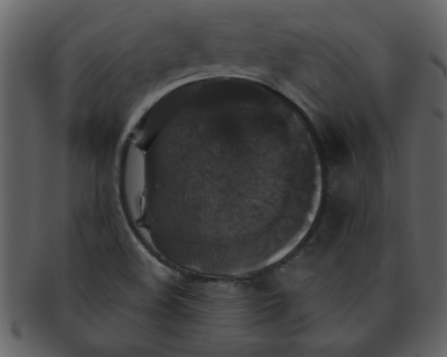 X0000093131508200710171256